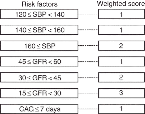 Figure 2. A risk-scoring scheme for estimating acute kidney injury after off-pump coronary artery bypass grafting.Notes: SBP, systemic blood pressure; GFR, glomerular filtration rate; CAG, coronary angiography.