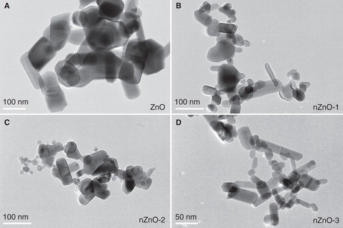 Figure 1. TEM micrographs of the pristine forms of the four different ZnO particles: A) ZnO, B) nZnO-1, C) nZnO-2 and D) nZnO-3. Scale bars are 100 nm for A, B and C, and 50 nm for D.