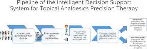 Figure 6 Application of intelligent decision support system for the individualized medicine pipeline of topical analgesics therapy.
