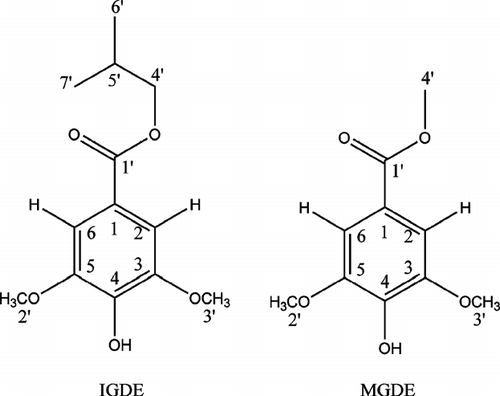Figure 3 Structures of isobutyl gallate-3,5-dimethyl ether (IGDE) and methyl gallate-3,5-dimethyl ether (MGDE).