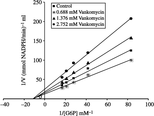 Figure 9 Lineweaver–Burk graphs for G-6PD in presence of three constant vankomycin concentrations and five different substrate concentrations.