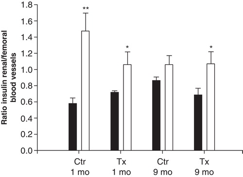 Figure 5. Ratio between serum insulin concentrations in samples from the left renal vein and femoral artery during basal conditions (black bars) and 3 min after an intravenous injection of 1 ml 30% D-glucose (grey bars) in transplanted (Tx) and non-transplanted control (Ctr) rats, 1 or 9 months after transplantation. Values are means ± SEM for 5–9 experiments. *P < 0.05; **P < 0.01 when compared to the corresponding basal value (Student's unpaired t test).