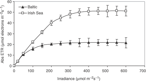 Fig. 1. Photosynthesis, expressed as absolute electron transport rate (Abs ETR), as a function of irradiance for Fucus vesiculosus from the Gulf of Bothnia (northern Baltic, 5 psu) and from the Irish Sea (35 psu). Measurements were performed with thallus tips (n = 10). Irradiance was increased stepwise from 20 to 600 µmol m−2 s−1, with 5 min at each irradiance and 5 min darkness in between. Temperature = 10°C. Error bars are 95% confidence intervals.