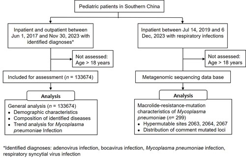 Figure 1. Data handling process and analysis diagram. There were 133674 patients were included for data analysis. Additionally, macrolide- resistance-mutation characteristics of Mycoplasma pneumoniae were analysed based on samples from 299 patients.
