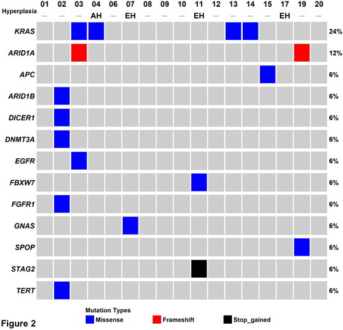 Figure 2. Heatmap of the somatic mutations identified by targeted next-generation sequencing in adenomyotic tissue specimens. AH: endometrial atypical hyperplasia; EH: endometrial hyperplasia without atypia.
