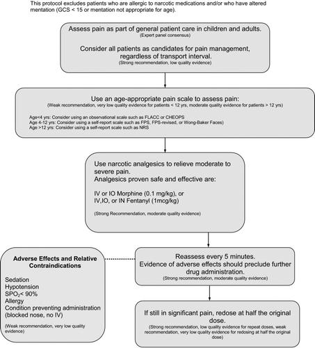 Figure 1.  Prehospital protocol for the management of acute traumatic pain.