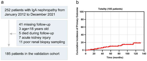 Figure 1. (a) Flowchart of patient inclusion and (b) cumulative incidence of the primary outcome. In original cohort of 252 patients with IgA nephropathy, 185 patients were enrolled in the final validation cohort.