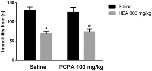 Figure 3. Effects of PCPA (100 mg/kg, i.p.) on the HEA (800 mg/kg, p.o.) actions in the TST. Each column represents the mean ± SEM. N = 8–10. *p < 0.01 × saline–saline. Two-way ANOVA followed by Tukey’s post hoc test.