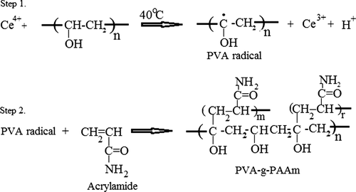Figure 1. Possible grafting reaction of AAm onto PVA.