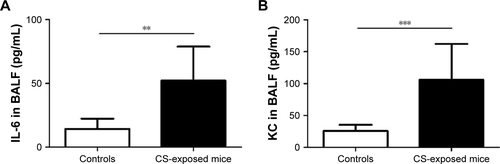 Figure S2 Levels of IL-6 and CXCL1 (KC) in BALF in controls and CS-exposed mice.Notes: Compared with controls, levels of IL-6 (A) and CXCL1 (KC) (B) in BALF were increased in CS-exposed mice. Data are presented as means ± SD, n=8 for controls and n=8 for CS-exposed mice. P-values were calculated using Student’s t-test; **P<0.01 and ***P<0.001 represent significant differences compared to controls.