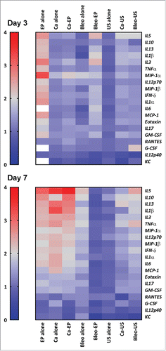 Figure 3. Heat map demonstrating the level of proinflammatory cytokines in serum 3 and 7 d after treatment. The color bar on the left represent values fold increase relative to untreated control. Values above 4-fold are represented as white. (1) Calcium electroporation showed no difference in cytokine level day 3 (p = 0.5) but a significant increased level day 7 (p<0.0001). (2) Electrochemotherapy showed a significant increase in cytokine level day 3 (p = 0.003) but no difference at day 7 (p = 1). (3) Electroporation alone showed a significant increase in cytokines both day 3 (p<0.0001) and day 7 (p<0.0001) and a noticeable increase at day 3 of G-CSF. (4) Calcium alone and bleomycin alone showed no difference in cytokine level day 3 (p = 1) but a significantly increased level day 7 (p<0.0001). (5) treatment with ultrasound showed no significant difference day 3 or 7. More detailed graph is shown in supplementary 1.