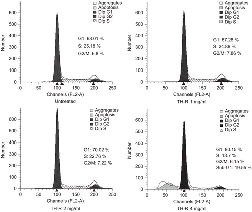 Figure 2.  Cell cycle changes after treatment with TH-R for 48 h by flow cytometry in A549 cells. Cultured A549 cells (5 × 105 cells) were untreated or treated with 1, 2, 4 mg/mL TH-R for 48 h. The numbers of cells in the G1, S, and G2/M cell cycle phases were assessed by flow cytometry.