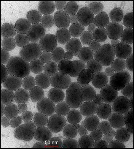 Figure 1 Electron micrograph of suspension of amorphous silica nanoparticles.