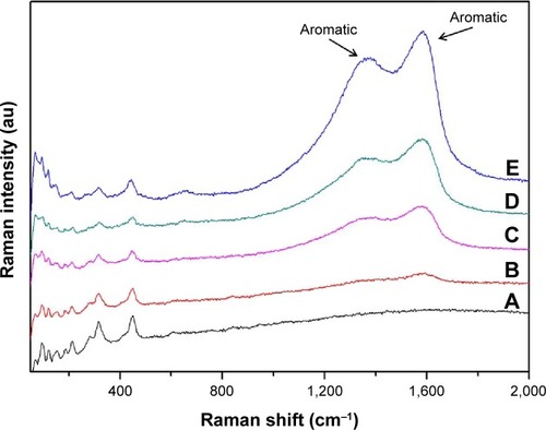 Figure 4 Raman spectra of various samples: (A) CVC, (B) DCVC, (C) DCVC-Ag3, (D) DCVC-Ag2, and (E) DCVC-Ag1.Abbreviations: au, arbitrary unit; CVC, central venous catheter; DCVC, central venous catheters coated with polydopamine films.