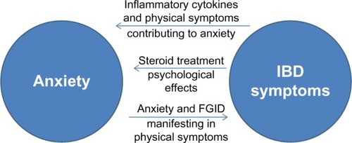 Figure 1 Interaction between anxiety and IBD symptoms.