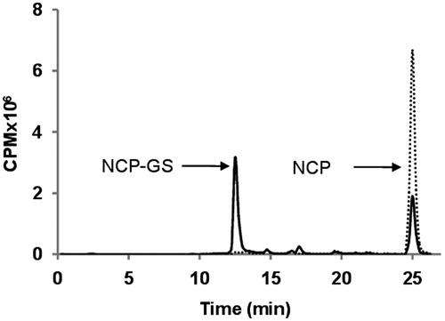 Figure 3. High-performance liquid chromatography analysis of extracellular [3H]9-norbornyl-6-chloropurine ([3H]NCP) metabolites. CCRF-CEM cells were incubated with 25 µM (10 µCi/ml) [3H]NCP (—) for 24 h. In a parallel experiment, medium without CCRF-CEM cells was incubated with 25 µM (10 µCi/ml) [3H]NCP (· · · ·) for 24 h. The identity of all peaks was confirmed using the authentic standards. NCP-GS, Glutathione conjugate.
