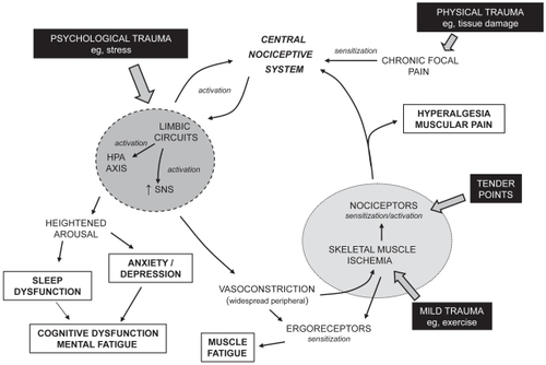 Figure 1 A cyclic model of the pathophysiological processes associated with fibromyalgia. Potential triggers of the condition are indicated in filled boxes. Typical symptoms of the condition are indicated in open boxes.