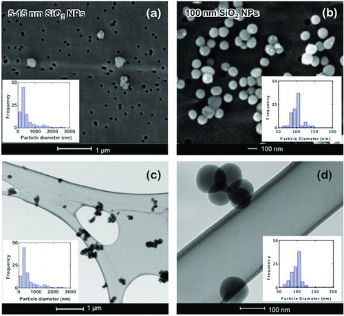 FIG. 9 SEM images of filter-collected nanoparticles and size distributions for (a) 5–15 nm silica (N = 448; mean = 336 nm; σ = 2.05), and (b) Stöber nanoparticles (N = 99; mean = 101.1 nm; σ = 14.1 nm); TEM images and size distribution of the holey grid-collected (c) silica nanoparticles (N = 345; mean = 361 nm; σ = 2.01 nm) and (d) Stöber nanoparticles (N = 104; mean = 99 nm; σ = 10.0 nm). (Color figure available online.)
