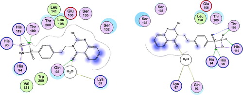 Figure 6. Docking modes of the lead compound 1 in the binding pockets of CA isoenzymes II (Right) and XII (Left) with (PDB IDs: 5ULN and 1JD0) respectively.
