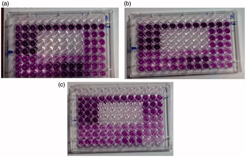 Figure 10. Cytotoxicity study of free drug and drug loaded nanoparticles on T47D cell line after, 24 h (a), 48 h (b), and 72 h (c) exposure.
