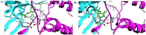 Figure 11. Docking interaction (3D form) for compounds (A) 5e and (B) 5h.