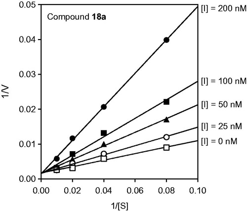 Figure 2. Kinetics of HNE inhibition by cinnoline derivative 18a. Representative double-reciprocal Lineweaver–Burk plot of substrate hydrolysis by HNE in the absence and presence of the compounds 18a is shown. The representative plot is from three independent experiments.