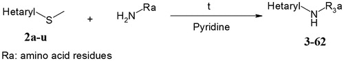Scheme 1. Combinatorial synthesis of 2-aminopyrimidinones and their 6-aza-analogs.