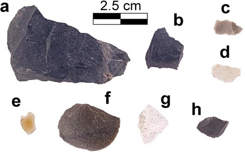 Figure 2. Picture of example sampled rocks: raw material chunk of dark grey chert (a: RM01), dark grey chert flakes (b: AR11; c: AR21), whitish chert (d: AR23), yellowish chert (e: AR38.2), quartzite (f: AR27), rock crystal (g: AR20) and Domeño chert fragment (h: AN01.2).