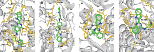 Figure 4.  (Colour online) Docking models of compound–enzyme complex. Representations of compound 3h (A, B) and 9a (C, D) interacting with residues in the binding site of TcAChE (A, C) and HuBuChE (B, D). The compounds are rendered in green stick models, and the residues are rendered in golden sticks. Pictures are created with PyMOLCitation27.