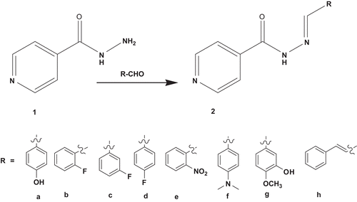 Scheme 1.  Synthesis of hydrazone derivatives.