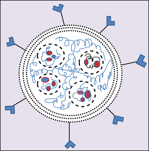 Figure 2. Structure of nanoparticles.