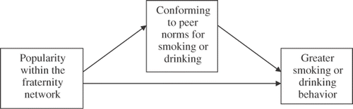 Figure 6. Relationship between popularity, conforming to peer norms, and smoking and drinking behavior among the fraternity network.