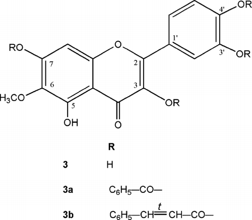 Figure 3 Patuletin (3) and its tetrabenzoyl (3a) and tetracinnamoyl (3b) derivatives.