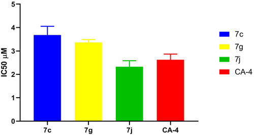 Figure 6 IC50 values for in vitro β-tubulin polymerization inhibitory activity of 7c, 7g, 7j and CA-4 using ELISA assay.