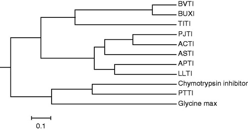Figure 6. A phylogenetic tree analysis of ASTI with other inhibitors. Protein sequences were obtained from http://blast.ncbi.nlm.nih.gov/ by a BLAST search of ASTI. Accession numbers for the sequences used are as follows: trypsin isoinhibitor (Adenanthera pavonina), APTI, gi|225058|; LLTI, gi|18202442|; Prosopis juliflora trypsin inhibitor, PJTI, gi|417176|; ACTI, gi|299509|; Tamarindus indica trypsin inhibitor, TITI, gi|308756025|; BVTI, gi|32363181|; Bauhinia ungulate Factor X inhibitor, BUXI, gi|32363179|; Psophocarpus tetragonolobus trypsin inhibitor, PTTI, gi|86450987 and chymotrypsin inhibitor (Erythrina variegate), gi|265716|. The scale bar shows a branch length of 0.1 (i.e. a 10% difference in amino acids).