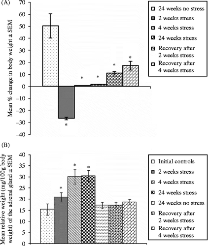 Figure 2.  Vertical bars are mean ± SEM. Percentage change in body weight compared to initial body weight (A) and relative adrenal weight (B) in control, stressed, and recovery groups, n = 5 rats per group. *p < 0.05 versus controls, ANOVA, and Duncan's test.