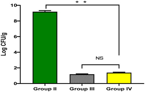 Figure 2. The bacterial load in lung tissues of the experimental groups. The two asterisks represent a significant difference (p < 0.05). The abbreviation (NS) denotes a non-significant difference (p > 0.05).