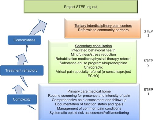 Figure 1 Modified Stepped Care Model for Pain Management at CHCI.