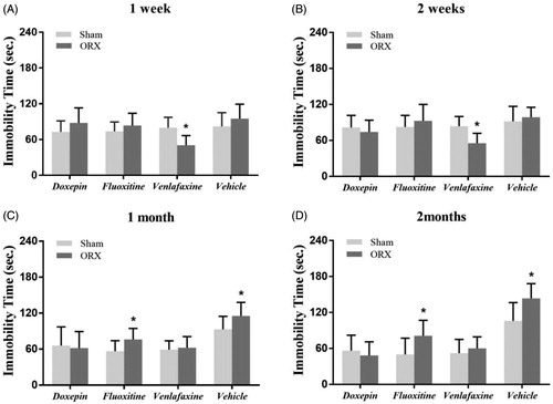Figure 2. Changes in the response to antidepressants in the TST after ORX. (A and B) Only the venlafaxine group showed a significant reduction in the duration of immobility in ORX animals compared with the sham group in the TST at 1 week and 2 weeks after ORX. (C and D) There was no apparent difference on the immobility time between sham mice and ORX mice of doxepin group and venlafaxine group. A significant increase of immobility time in ORX mice, however, was observed in fluoxetine group compared with sham mice at 1 month and 2 months after operation. *expresses p values < 0.05 as compared to the control animals (n = 8 animals in each group).