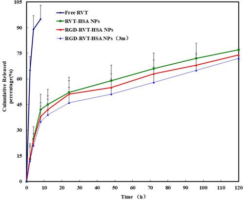 Figure 2 Cumulative drug release (mean ± SD %, n = 6) profiles of free RVT, RVT-HSA NPs, RGD-RVT-HSA NPs and RGD-RVT-HSA NPs (3m) over time intervals of 2, 4, 8, 12, 24, 48, 72, 96, and 120 h.