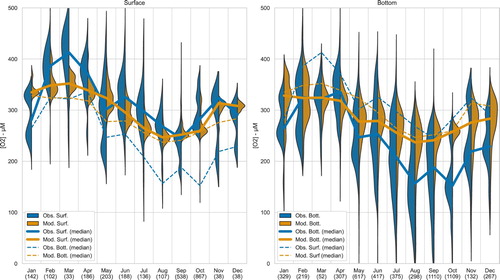 Figure 3.7.2. Seasonal variations (1992–2019) in oxygen concentration observed (blue) and simulated at observation locations (orange) over the northwestern shelf of the Black Sea. Left (resp. right) panel shows monthly distributions for surface (resp. bottom) values. Bold lines indicate the medians of these monthly distributions. Dotted lines repeat the monthly medians obtained for bottom (resp. surface) on the left (resp. right) panel in order to highlight the vertical gradient in oxygen profiles. Numbers on the X-axis indicate the number of available observations.