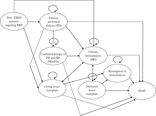 Figure 1.  Markov state diagram for renal replacement therapy (RRT) for new end-stage kidney disease (ESKD) patients. Schematic representation of the decision model showing a Markov state diagram of the post-hospitalization course for patients with chronic kidney disease (CKD) receiving renal replacement therapy (RRT) in Japan. Circles indicate various health states; arrows, transitions between the various states.