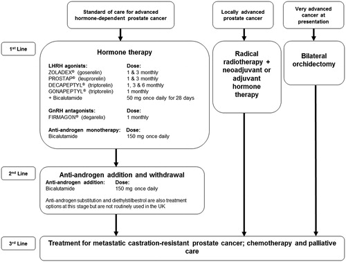 Figure 1. Current treatment pathway for advanced (locally advanced or metastatic) hormone-dependent prostate cancer. This pathway is based on the information derived from the NICE clinical guideline on prostate cancer (CG58)Citation1, the EAU guidelines on prostate cancerCitation6, and expert opinion from UK clinicians [Personal Communication. UK Clinical Experts]. EAU, European Association of Urology; GnRH, gonadotropin-releasing hormone; LHRH, luteinising hormone-releasing hormone; NICE, National Institute for Health and Care Excellence.