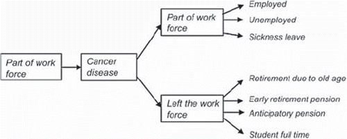 Figure 1. Pathway into or out of the workforce after a cancer disease under Danish legislation.
