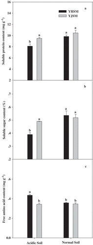 Figure 7 Soluble protein, soluble sugar and free amino acid contents in the leaves of the two rice cultivars under different growing soil conditions. Acidic soil and normal soil indicate that the samples were collected from rice grown in acidic soil and normal soil, respectively. The bars indicate the standard error of the mean. Mean values for each treatment with different lowercase letters indicate significant differences by the LSD-test (p < 0.05 n = 4).
