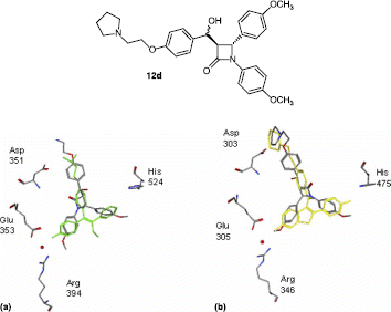Figure 3 Docked structure for compound 12d in (a) ERα superposed with 4-hydroxytamoxifen (green) and (b) ERβ superposed with raloxifene (yellow).