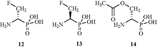 Figure 10. Structures of β-d-fluoroalanine 12, β-l-fluoroalanine 13 and O-acetyl-d-serine 14 as Alr inhibitors.