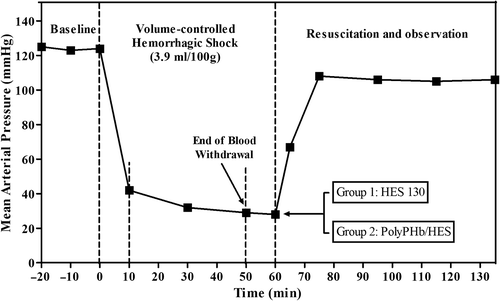Figure 1. Volume-controlled hemorrhagic shock model in Sprague–Dawley rats. Hemorrhage (60% of BV) was completed by two steps: rapid hemorrhage (30% of BV) from 0 to 10 min and slow hemorrhage (30% of BV) from 10 to 50 min; resuscitation with PolyPHb/HES (in a 1:2 ratio) and HES 130 alone solutions from 60 to 75 min; and the observation until 72 h.