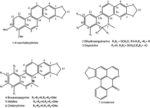 Figure 1. Structures of seven isoquinoline alkaloids from B. papyrifera fruits.