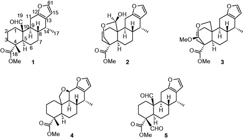 Figure 1. Chemical structure of diterpenoids 1–5 from seeds of Vietnamese C. sappan.